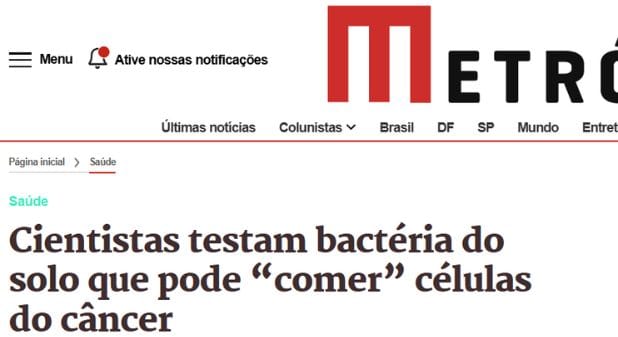Bactéria que consome câncer