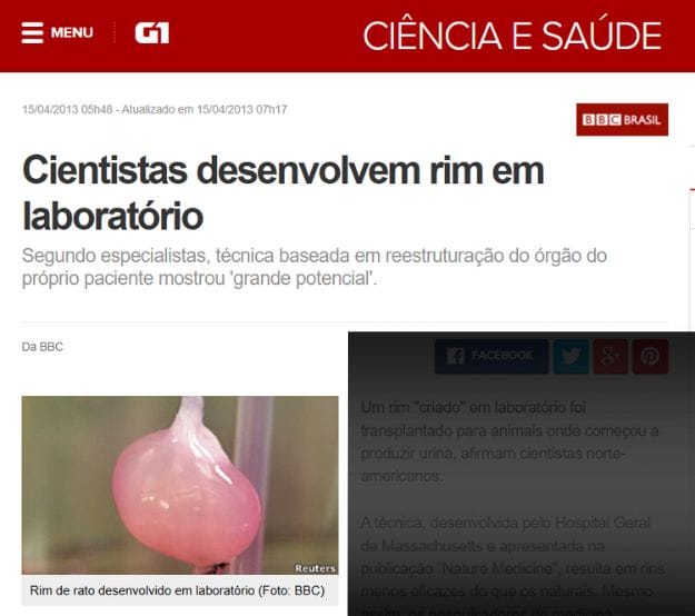 Rim criado em laboratório