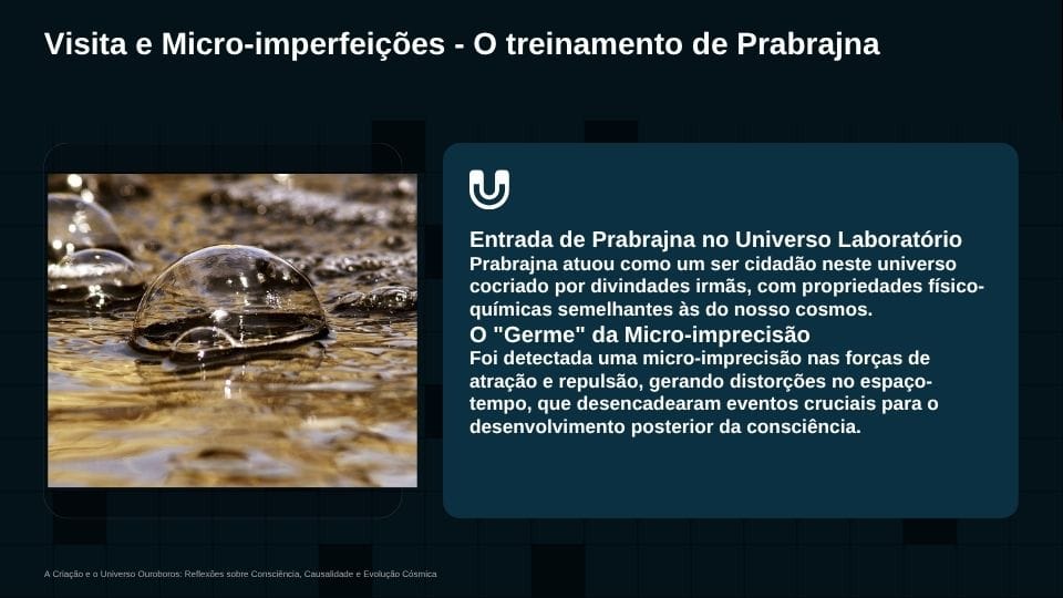 historia jave1 (22)