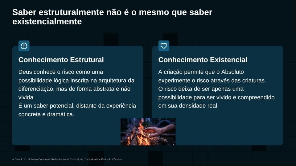 historia jave1 (35)
