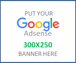 google-adsense-ad-2